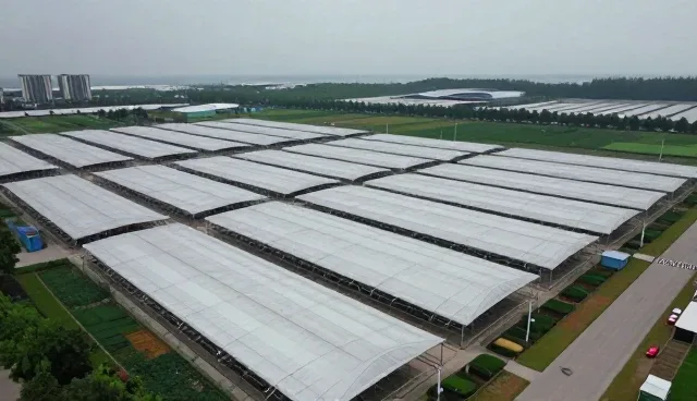 技术外包服务在产品适配中的限制条件与适用场景